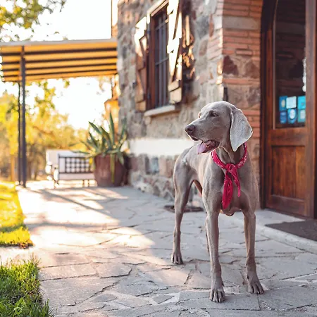 Le Pozze Terme B&B 비테르보