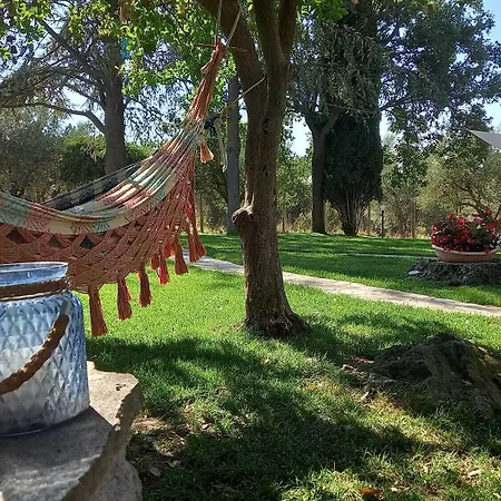 Le Pozze Terme B&B 비테르보