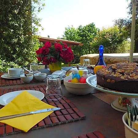 B&B Le Pozze Terme 비테르보